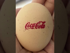 Wysokość 1062 MM Drukarka DTF UV Maksymalna szerokość 620 MM Cyfrowa drukarka atramentowa